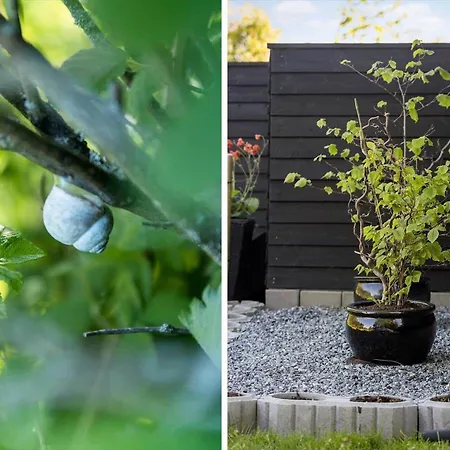 Sj258-haderslev-diernaes-strandby-114 Prázdninový dům *