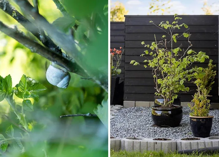 Sj258-haderslev-diernaes-strandby-114 Nyaraló *